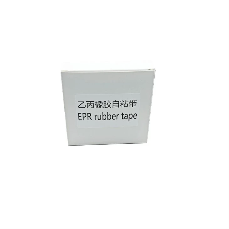 _20240508085605 _20240508085605